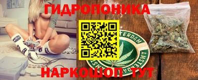 a pvp Свободный