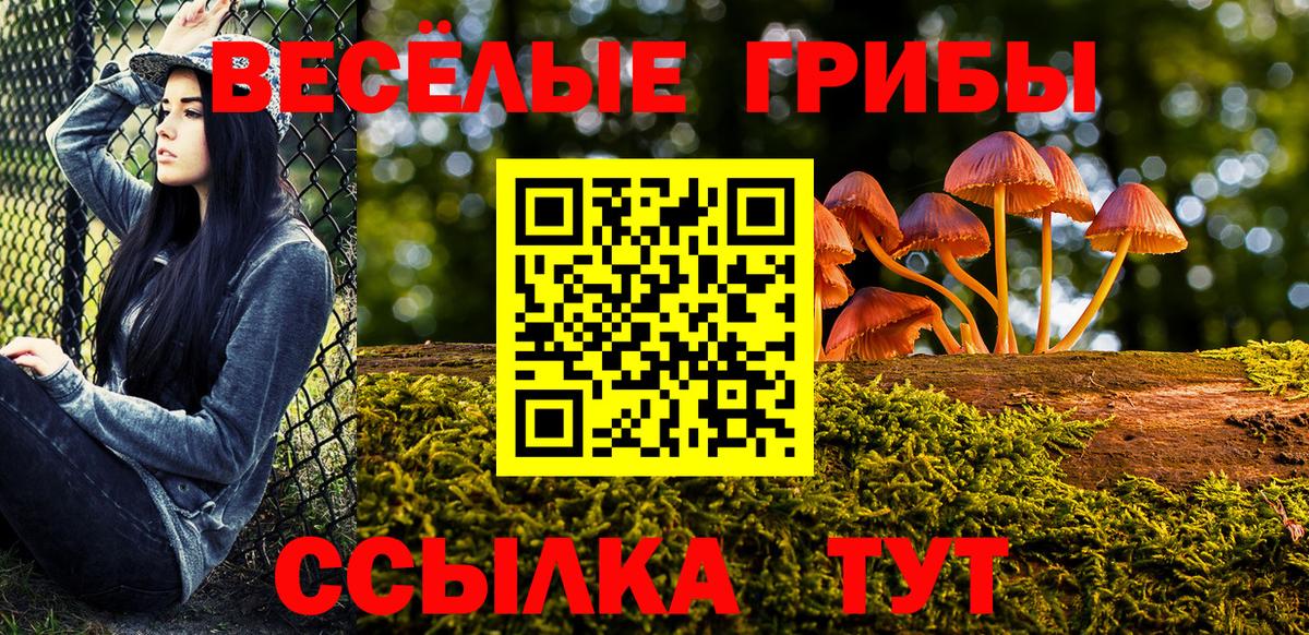 Псилоцибиновые грибы ЛСД  Вход с VPN  где купить   Соль-Илецк 