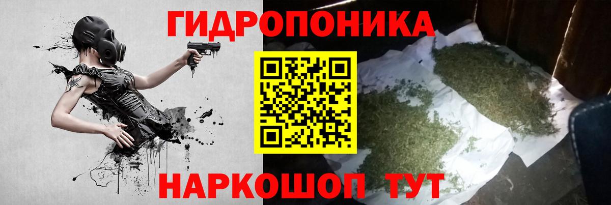 Бошки Шишки план  Канабис VHQ  Конопля планчик  Соль-Илецк  Вход с VPN 